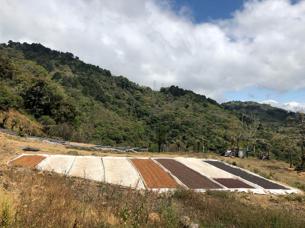 Costa Rica Series