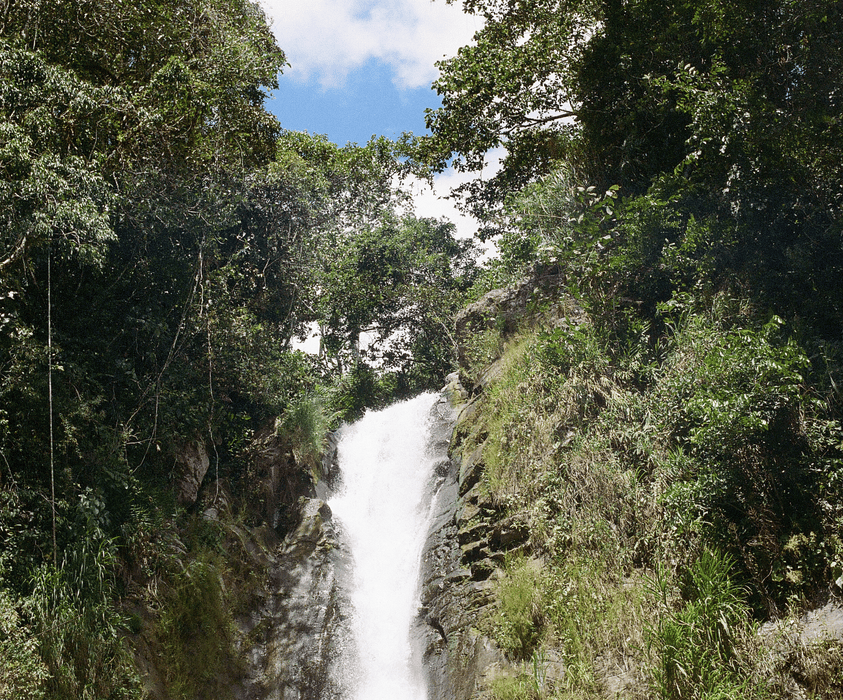 Aquiares Esperanza Natural
