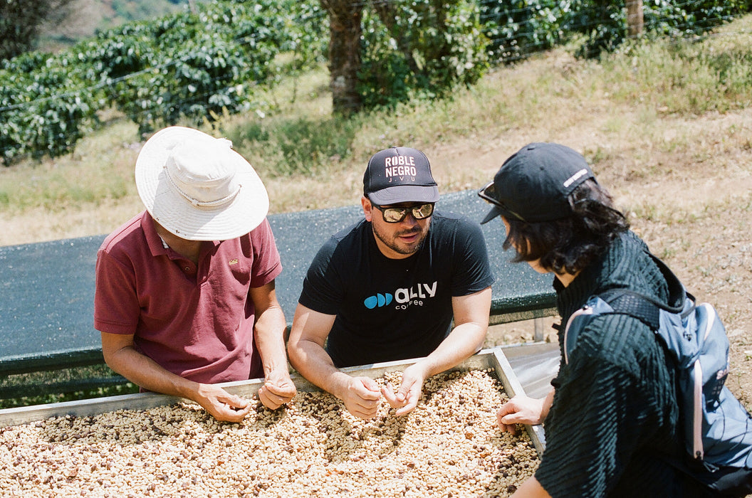 Christmas Bundle - 10% off