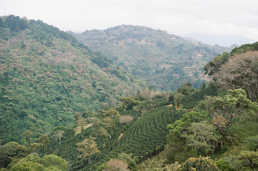 Christmas Bundle - 10% off