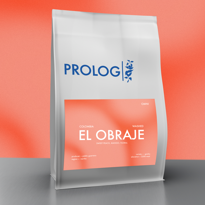 El Obraje Geisha Washed