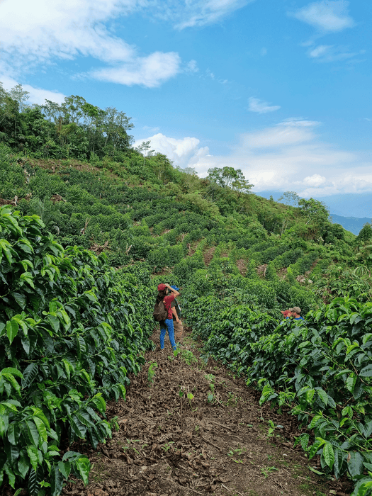 Garmas by Maximiliano Garcia