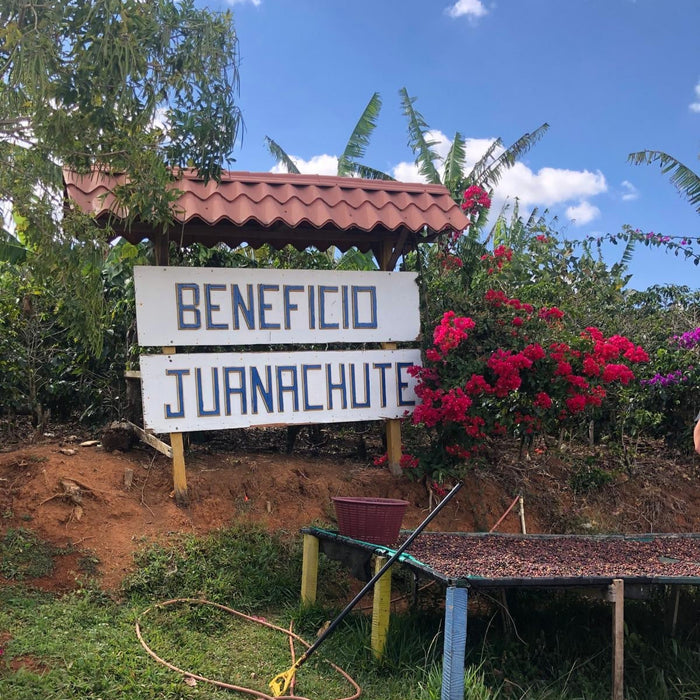 Guanacaste