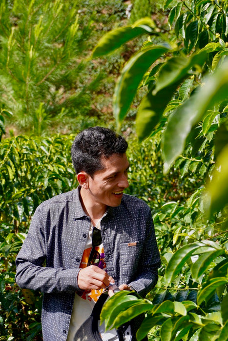 Finca Morales Marshell